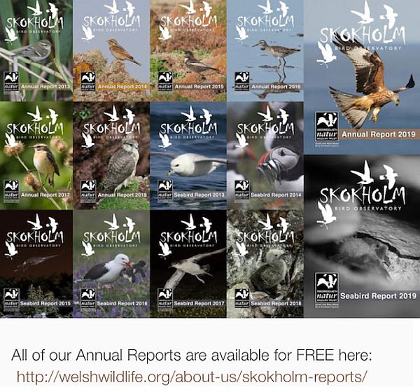 All the annual reports are available on the blog. Click on this image for the link.