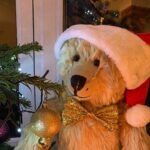 Bertie in a Christmas Hat and wearing a glittery gold bowtie by the Christmas Tree.