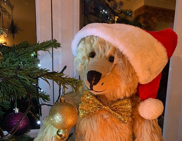 Bertie in a Christmas Hat and wearing a glittery gold bowtie by the Christmas Tree.