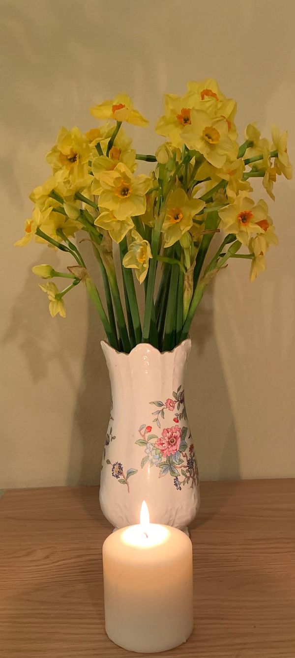 A candle lit for Diddley in front of a vase of Golden Sun Narcissi.