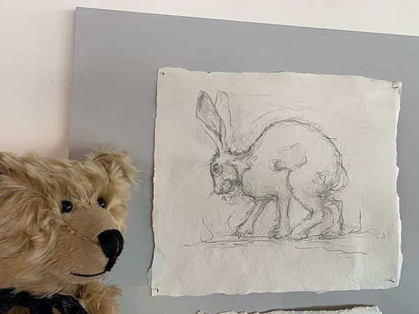 Bertie looking at the hand drawn picture of a hare in the visitor centre of Oriel y Parc, St David's.