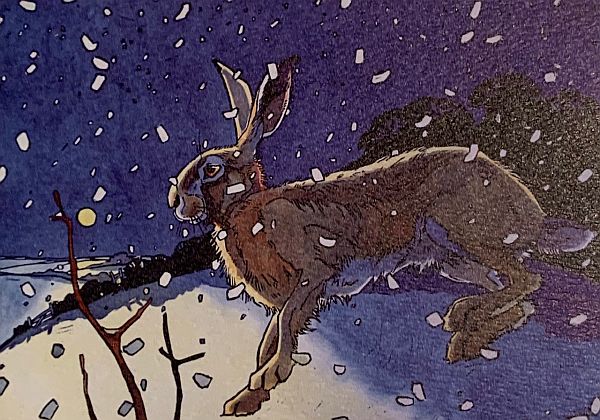 Colour drawing of a hare in the snow.