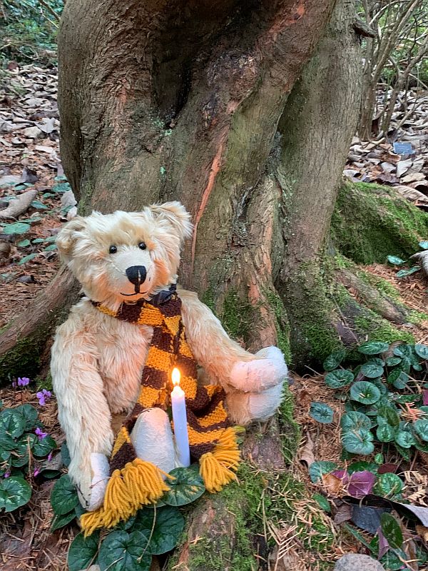 Bertie at the base of a tree with a candle lit for Diddley.