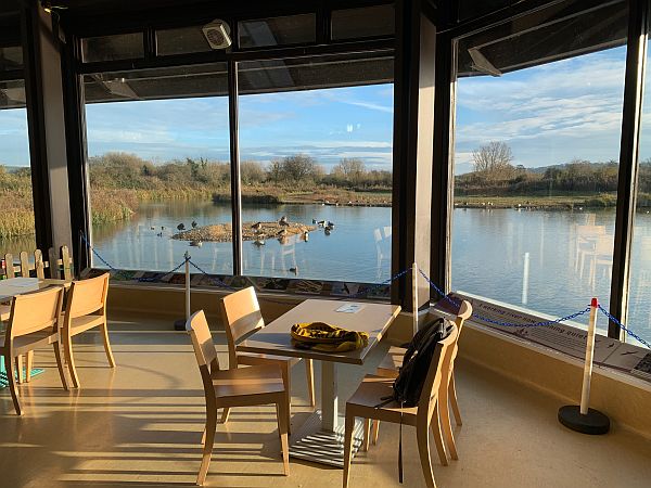 The viewing window in the café overlooking the wetlands.