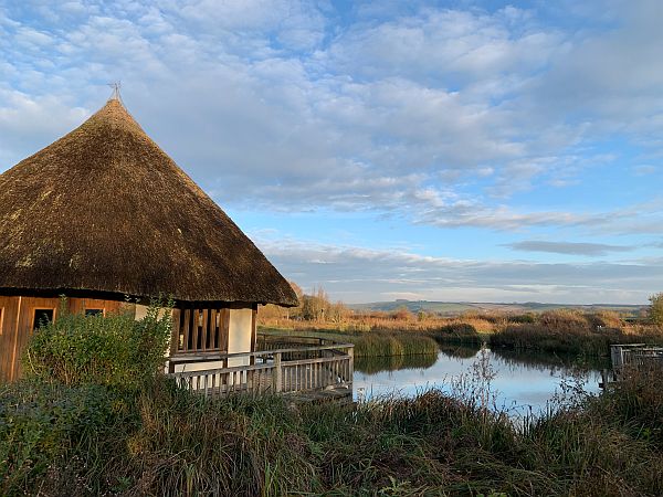 The reed beds.