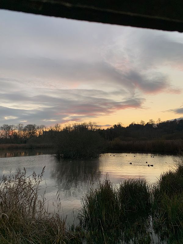 Sunset over the Wetlands.