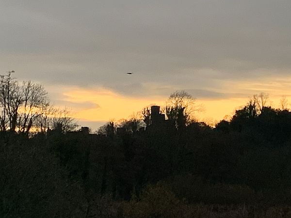 Marsh Harrier as a small dot silhouetted against the fading sunset.