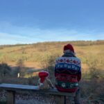 Bertie and Bobby, in Christmas outfits, sat on Diddley's Bench.