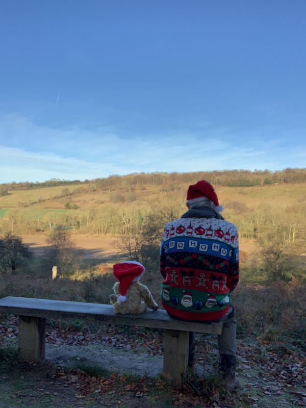 Bertie and Bobby, in Christmas outfits, sat on Diddley's Bench.