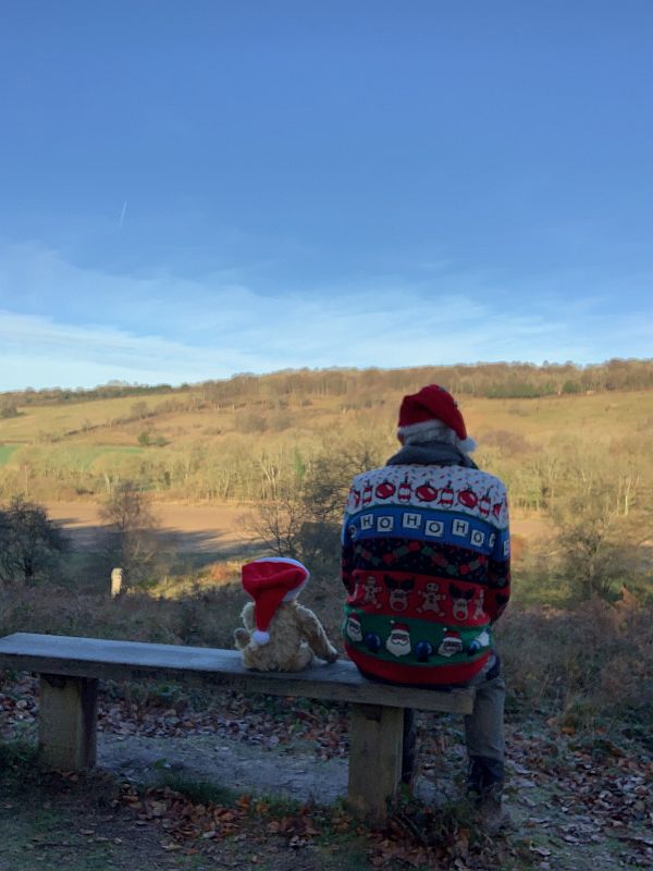 Bertie and Bobby, in Christmas outfits, sat on Diddley's Bench.