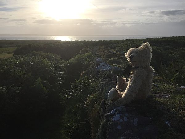 Bertie admiring the sunrise on Skokholm Island.