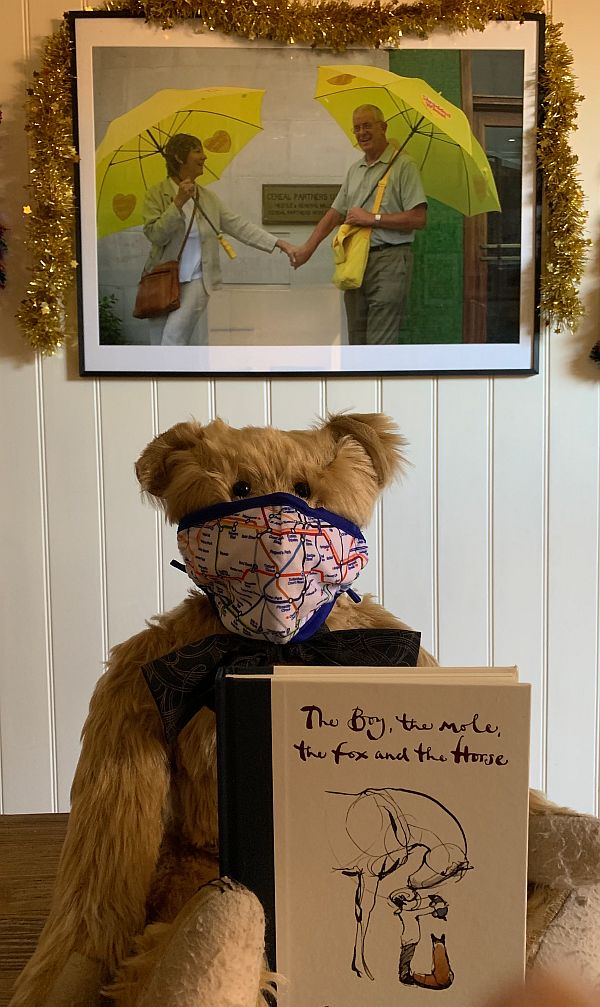 Bertie wearing an Underground map face mask and showing off the "The Boy, the Mole, the Fox and the Horse" book.