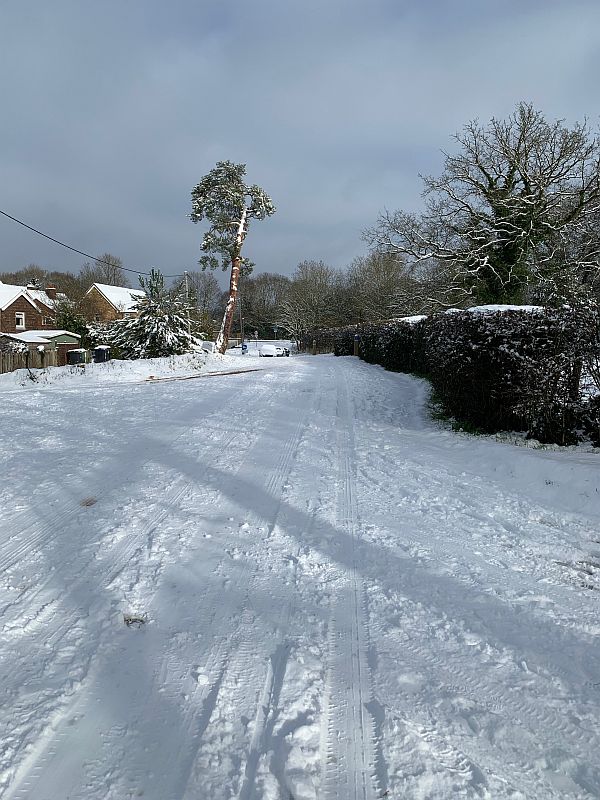 A snowy road in South Holmwood.