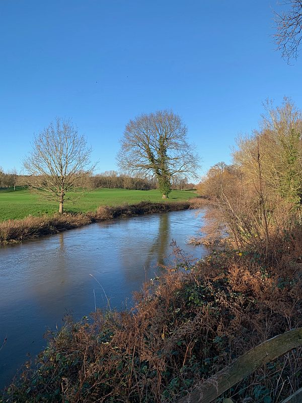 The River Wey at Wisley Gardens.