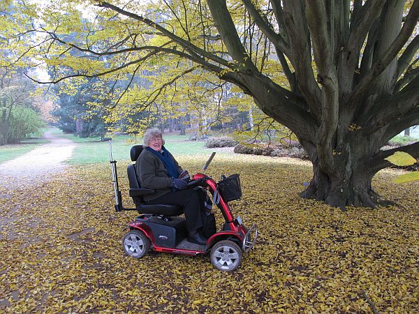 Bobby's sister, Wendy (RIP). In 2012, with failing health, Bobby took her to Wisley a few times and borrowed one of their electric scooters. Here she is under his favourite tree.
