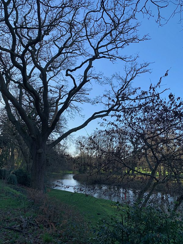Tree-lined River Wey.