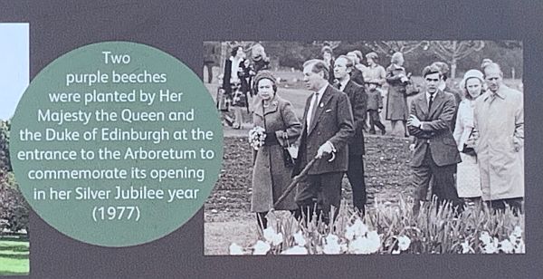 Plaque depicting the opening of the Jubilee Gardens: "Two purple Beeches were planted Her Majesty The Queen and the Duke of Edinburgh at the entrance to the Arboretum to commemorate its opening in her Silver Jubilee Year (1977).