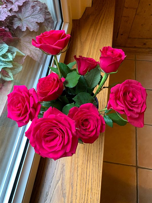 Vase of Red Roses, viewed from above.