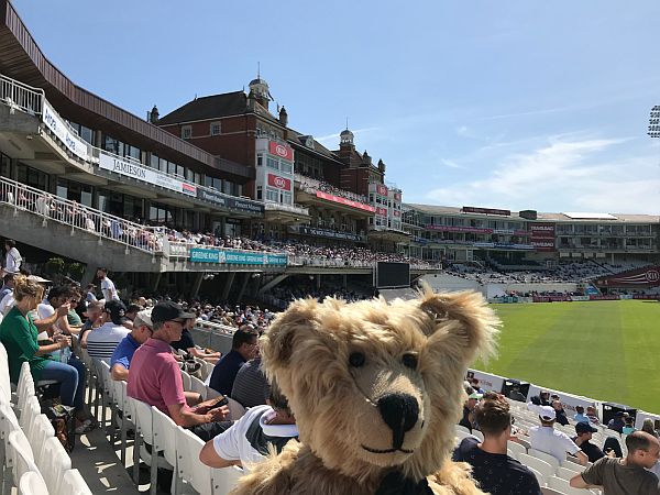 Bertie at a full Oval ground.