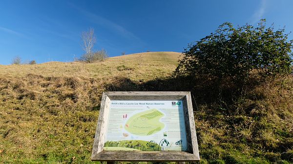 Swift's Hill interpretation board.