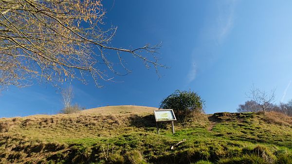 View of the top of Swift's Hill.