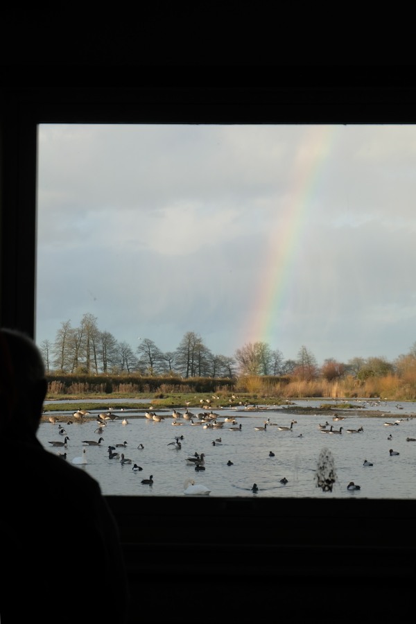 Looking out of the window of Swan Lake Hide, Slimbridge. A lovely rainbow coming down the middle of the photograph.