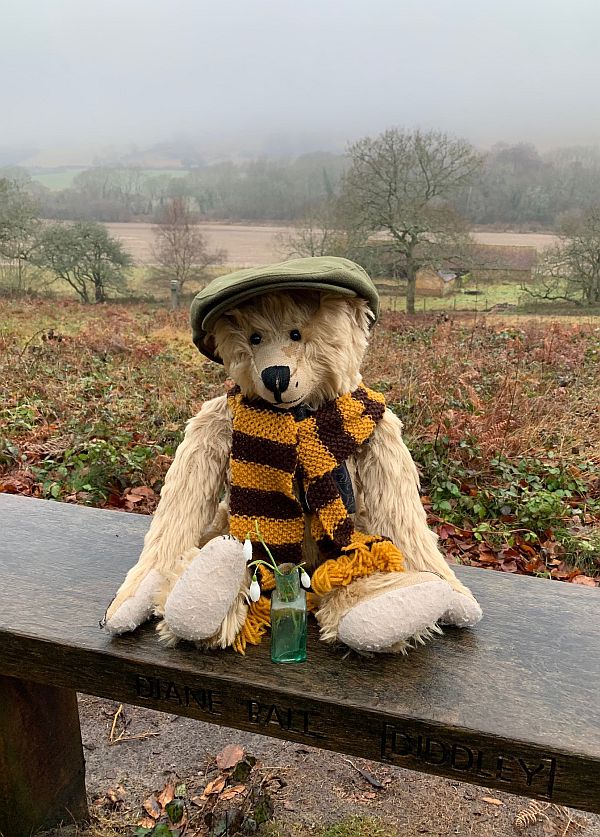 Bertie sat on Diddley's bench wearing his Sutton United scarf and Bobby's cap. A small vase on snowdrops on the bench in front of him.