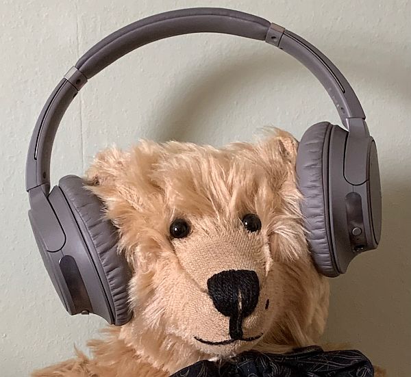 Can you hear me now? Bertie waving headphones.