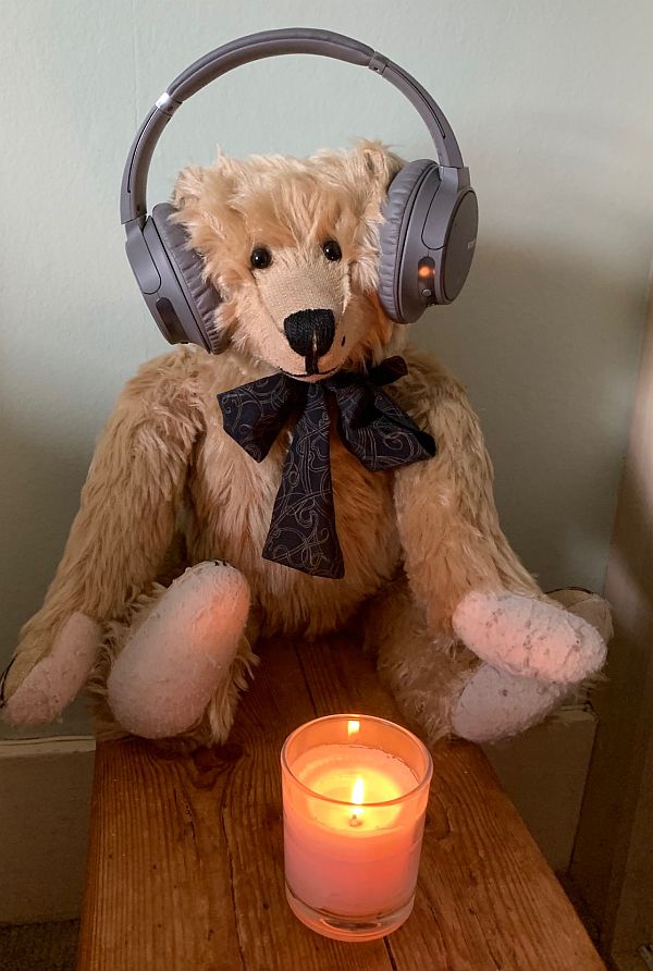 Bertie wearing his headphones sat behind a candle lit for Diddley.