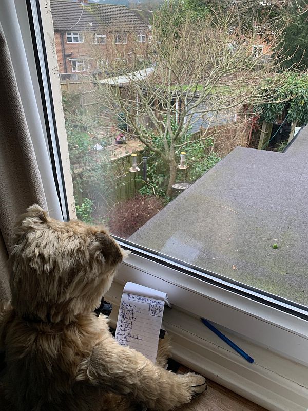 Bertie at the window of Laurel Cottage with his notepad full of the birds he's spotted during his Big Garden Birdwatch 2021.