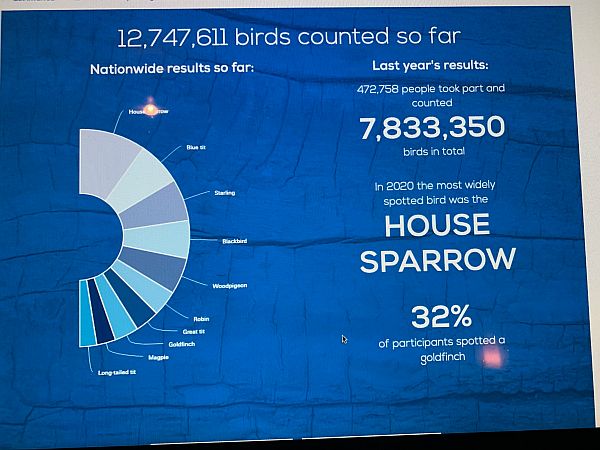Results on the RSPB Website.