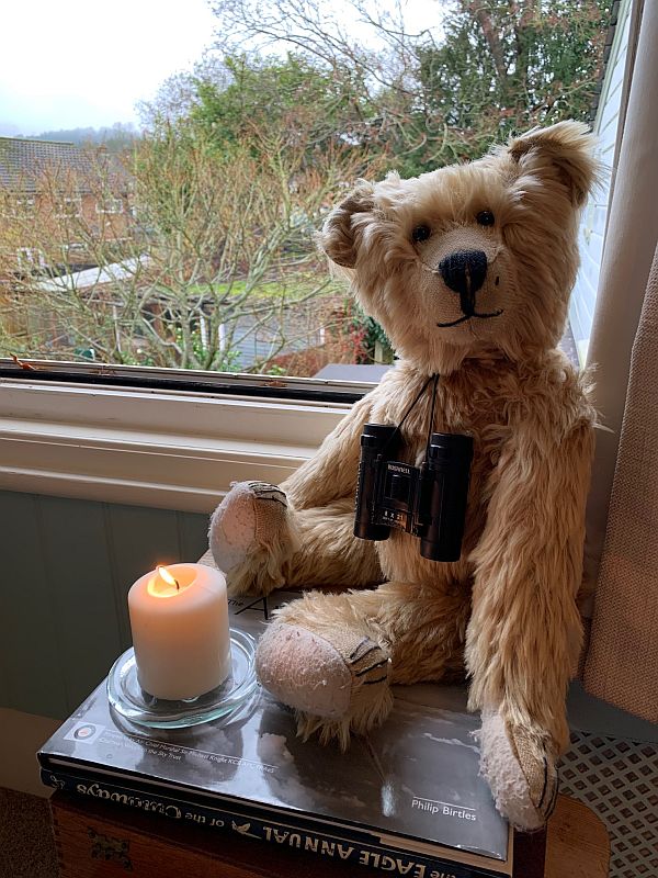 Bertie sat by the window with binoculars around his neck, with a candle lit for Diddley in front of him.