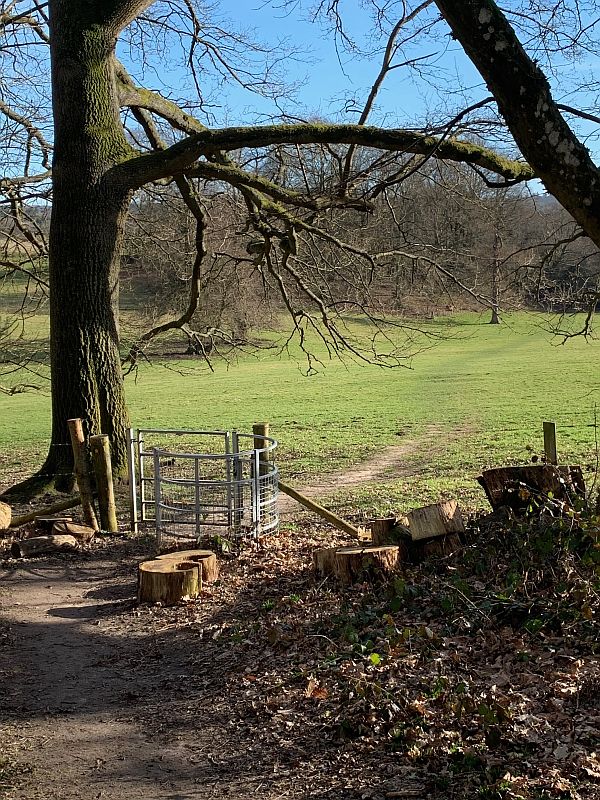 Across the field to the snowdrops.