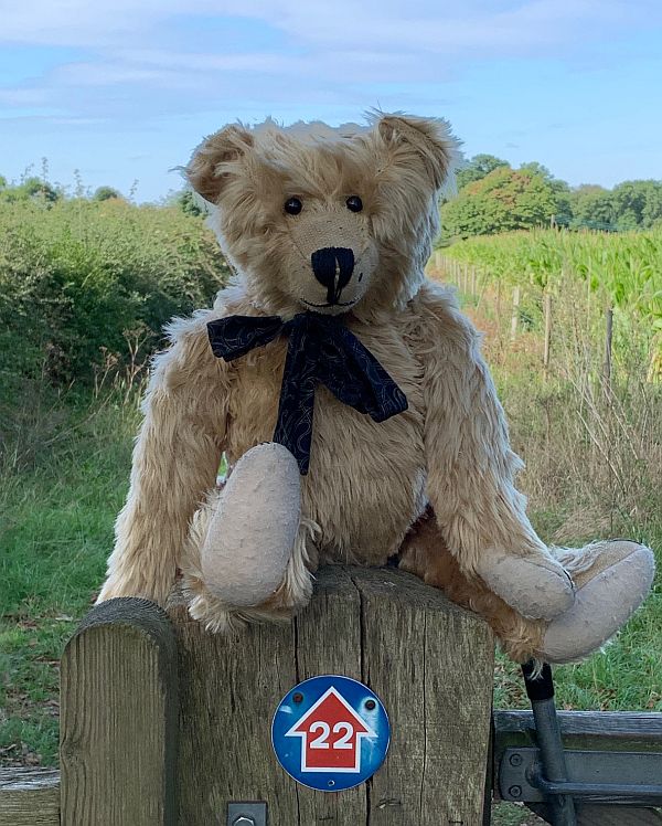 Bertie sat on a post with a sign marking Cycle Route 22.