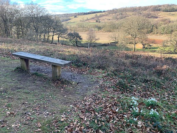 Diddley's Bench and View. Cotswold Snowdrops.