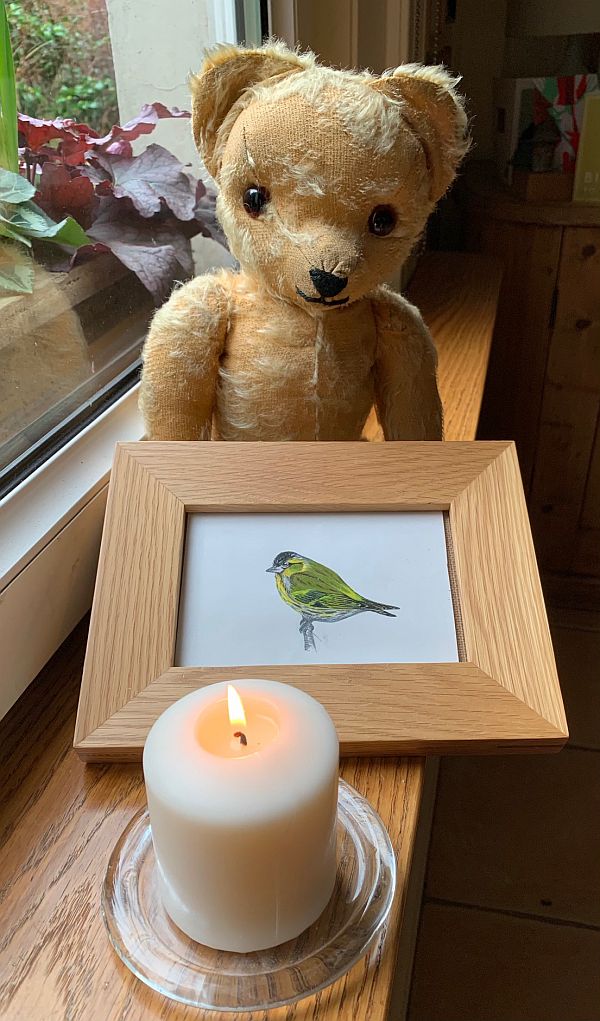 Eamonn sat on the window cill with a painting of a male Siskin and a candle lit for Diddley and the Siskins.