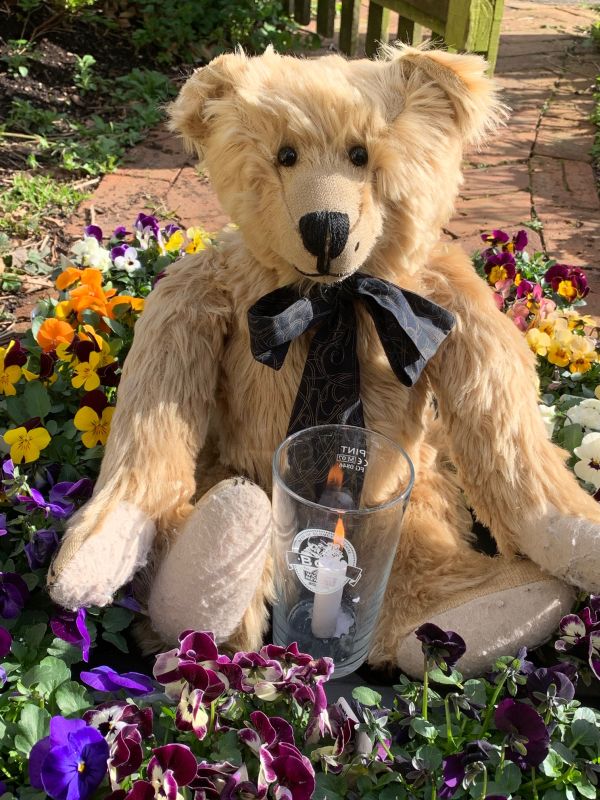 Bertie, with a candle lit for Diddley, sat amongst some colourful Violas.