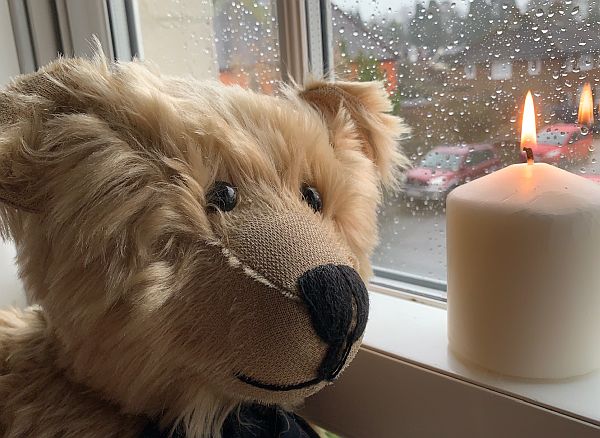 Bertie against a window covered in raindrops, with a candle lit for Diddley in front.