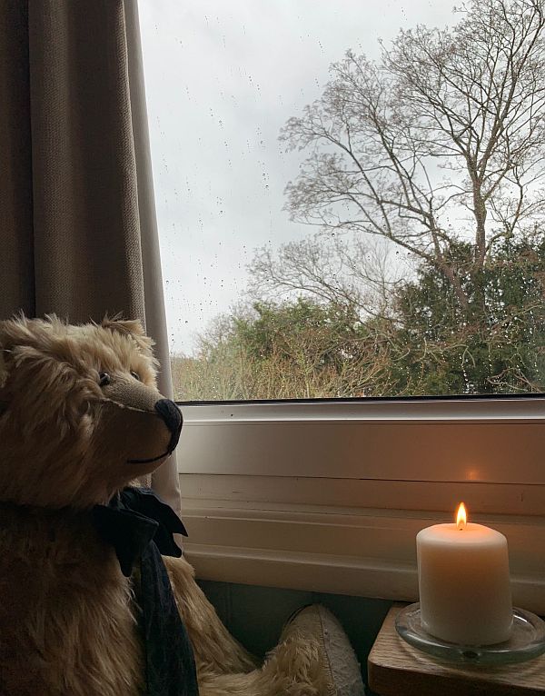 Sing Blackbird Sing - Bertie sat in the window with a candle lit for Diddley.