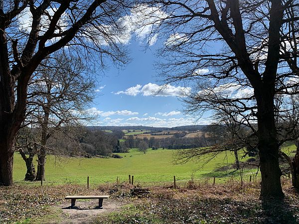 Benches - a bench with a view overlooking Leith Hill and the South Downs.