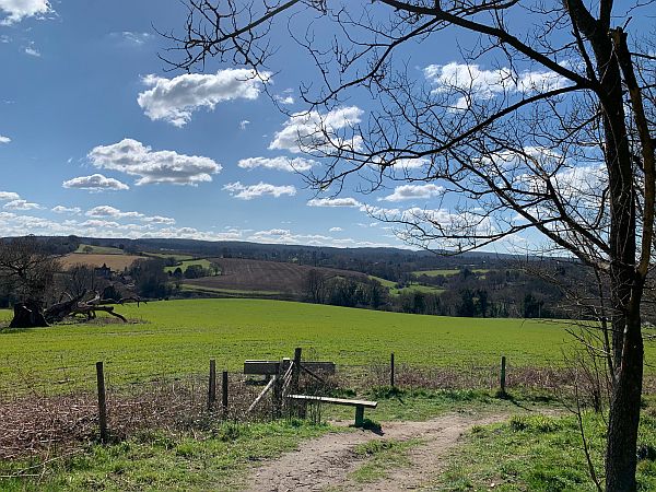 Benches: a view looking south towards Holmbury Hill.