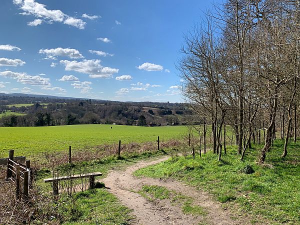 Benches: bench with a view looking south west towards Hindhead and Blackdown.