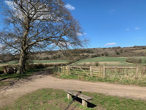 Benches: Looking north west towards Hackhurst Downs and still the North Downs.