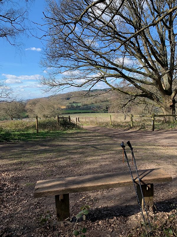 Benches: Looking west towards Gomshall and Guildford.