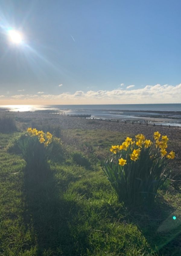 East Preston Beach, with Daffodils in the foreground.