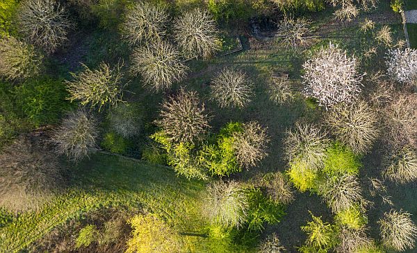 Aerial view of the Wildlife Garden at Rools-Royce, Goodwood.