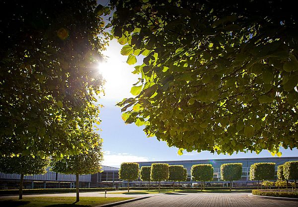 A view of the Rools-Royce facility looking through natural broad-leaf trees towards topiary trees surrounding the plant.