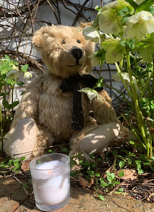 Bertie sat amongst the flowers in the garden, with a candle lit for Diddley in front of him.