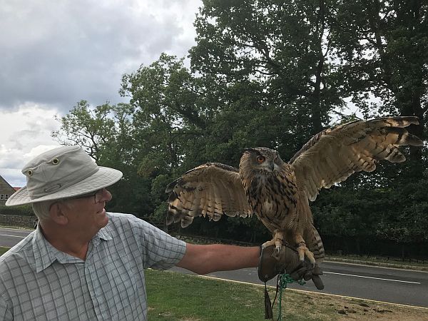 First Tilley, Goathland. Eagle Owl.