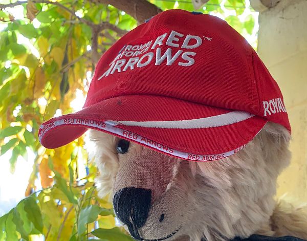 Bertie wearing a "Red Arrows" Cap.